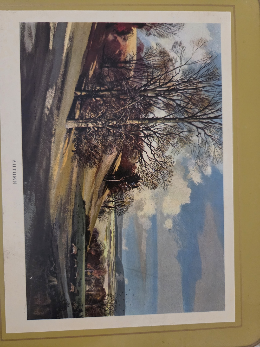Rustic Landscape Image - Picture 3 of 7